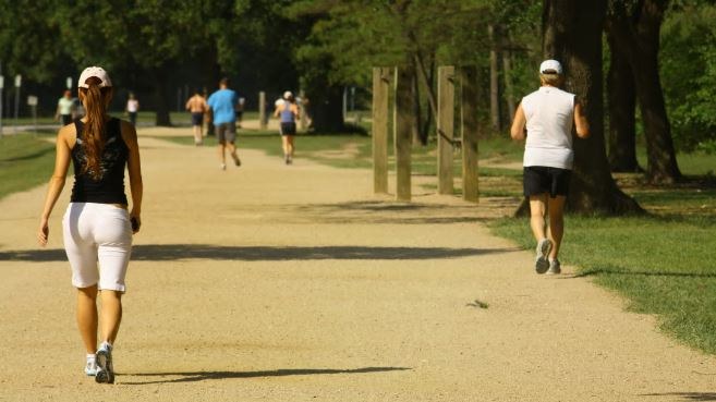Like most runners who frequent the 2.93-mile crushed granite running loop, better known as the Seymour Lieberman Trail, at Memorial Park every week, I was surprised to find the path blocked off by large a green fence and Do Not Enter signage last night at the beginning of an easy six-miler.
