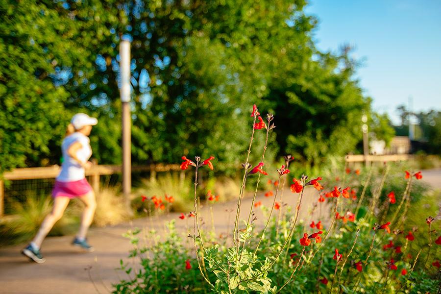 Memorial Park Remains Open; Support Services are Reduced