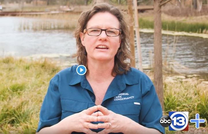 Memorial Park 101: The Story Behind Houston's Beloved Park